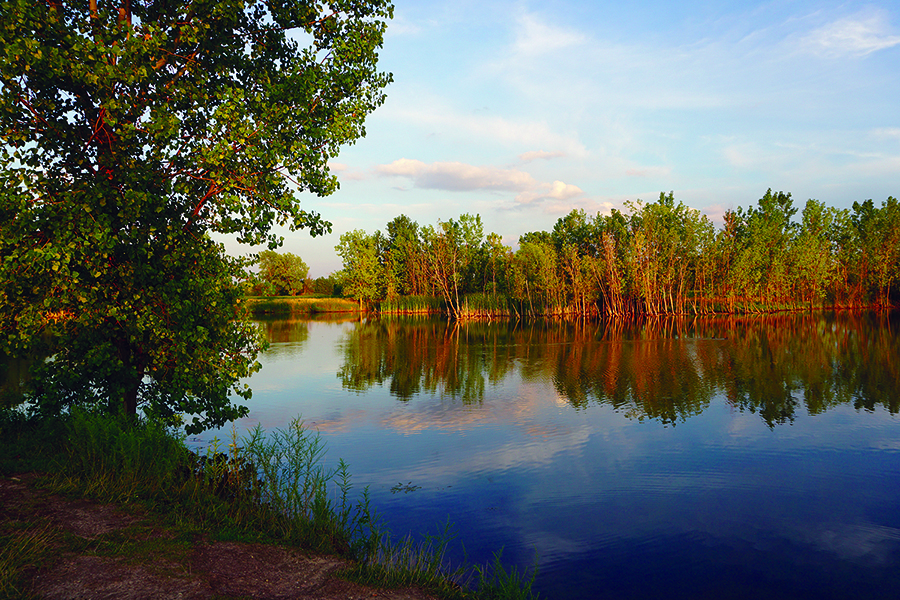 Songbird-Slough-summer-900x600